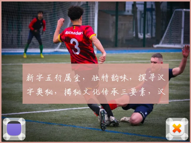 新字五行属金，独特韵味，探寻汉字奥秘，揭秘文化传承三要素，汉字五行分类大揭秘